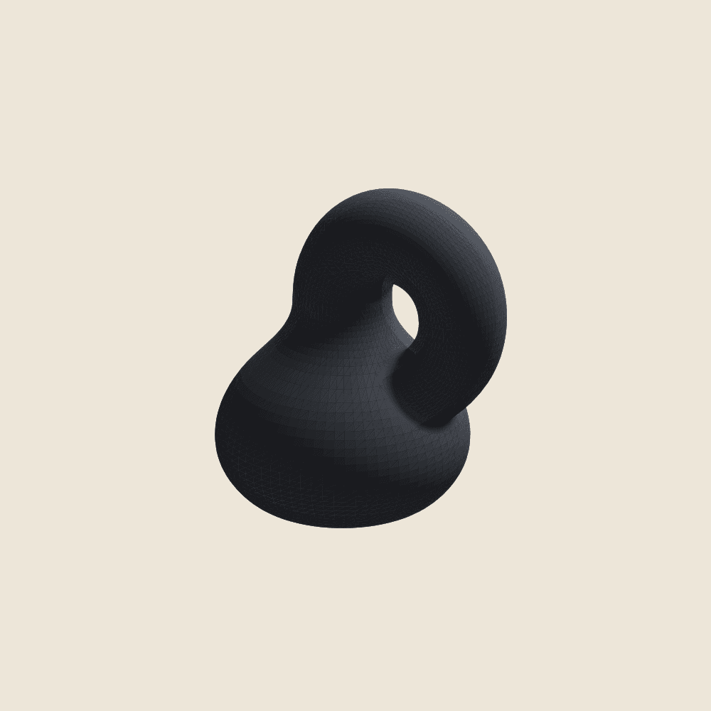 Klein Bottle